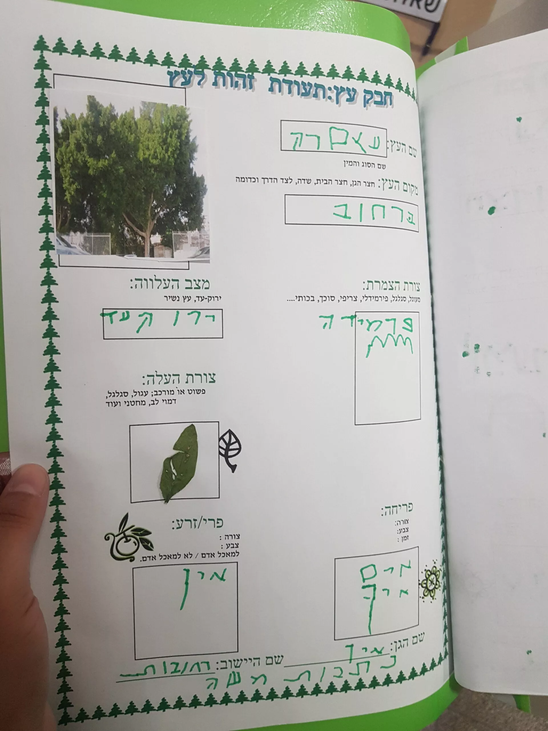 חוקרים את העצים (1)