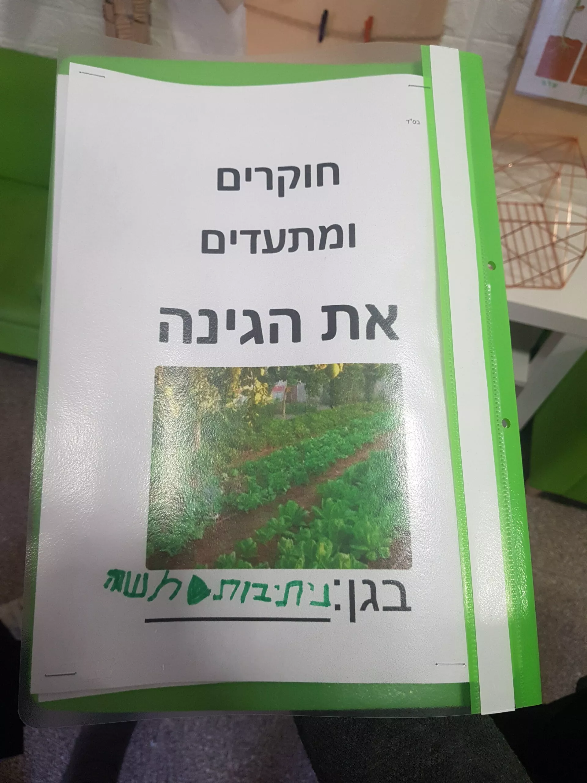 חוקרים את העצים (2)