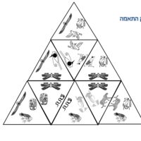 ⁦משחק בריחה לפסח⁩ – תמונה ⁦8⁩
