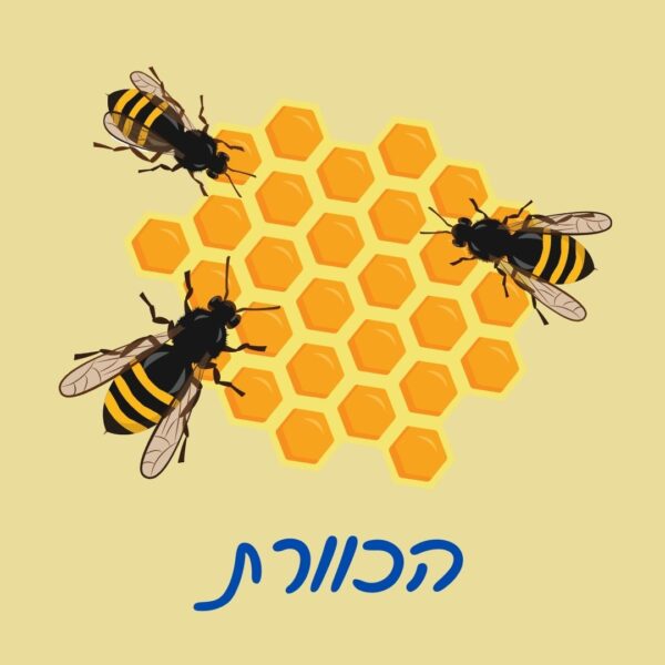 משחק בריחה לראש השנה