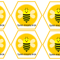 ⁦משחק בריחה לראש השנה⁩ – תמונה ⁦2⁩