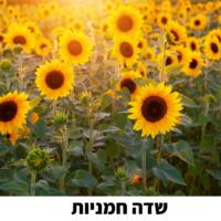⁦קיץ בגן הילדים!⁩ – תמונה ⁦2⁩
