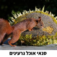⁦קיץ בגן הילדים!⁩ – תמונה ⁦3⁩