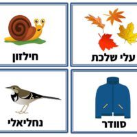 ⁦ערכת הגעתי לגן!⁩ – תמונה ⁦5⁩