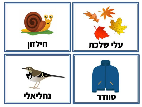 ⁦ערכת הגעתי לגן!⁩ – תמונה ⁦5⁩