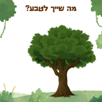 ⁦המסע בעקבות אוצר הארץ⁩ – תמונה ⁦4⁩