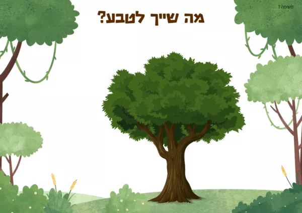 ⁦המסע בעקבות אוצר הארץ⁩ – תמונה ⁦4⁩