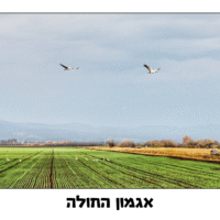 ⁦המסע בעקבות אוצר הארץ⁩ – תמונה ⁦5⁩