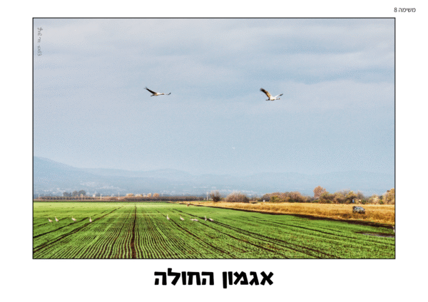 ⁦המסע בעקבות אוצר הארץ⁩ – תמונה ⁦5⁩